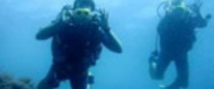 מועדון צלילה TheDiver 02 (1)