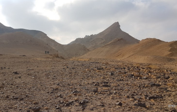 המסלול לקיר האמוניטים - מכתש רמון: קיר האמוניטים (3)