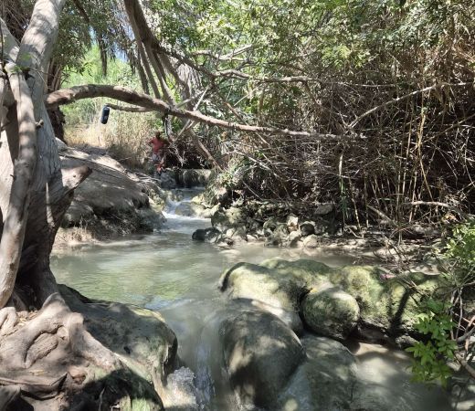 תמונה של המפלים הלבנים ליד עין הנצי"ב - למטייל בישראל (טיולי)