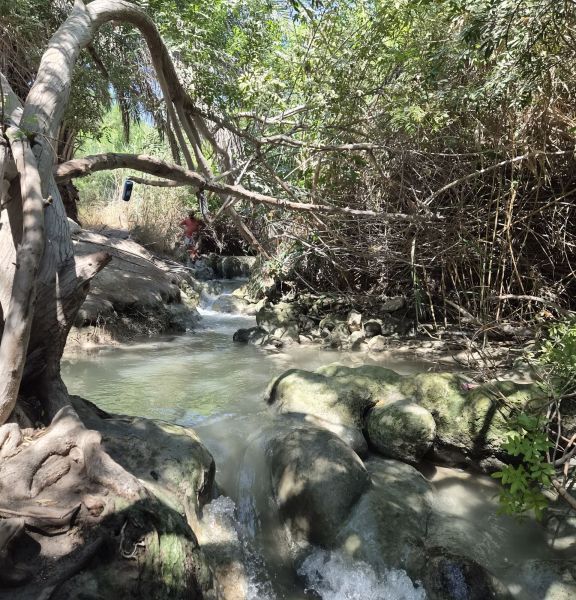תמונה של המפלים הלבנים ליד עין הנצי"ב - למטייל בישראל (טיולי)