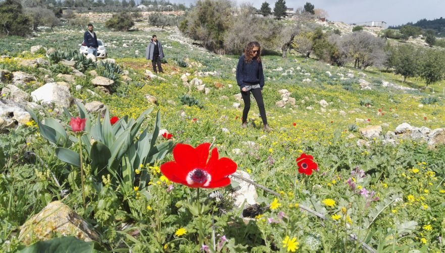 נוף מהר עצמון | צילום: עומר זיו