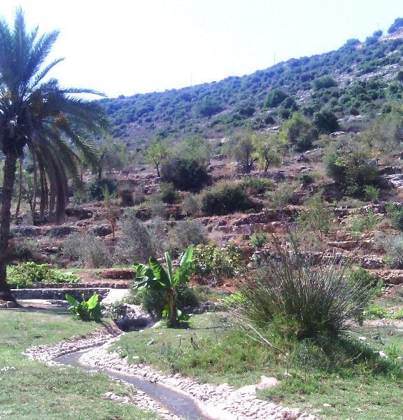תמונה של נחל קנה – בוסתנים ומעיינות בלב השומרון - למטייל בישראל (טיולי)