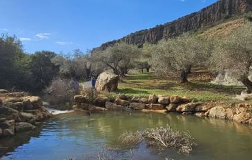 עין מג'נונה (עין יפעם) (3)