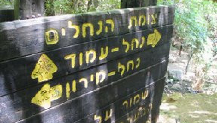 Look4Love.co.il - נחל עמוד 1 - טיול פנויים פנויות לנחל עמוד, לגילאי 27-42 (1)