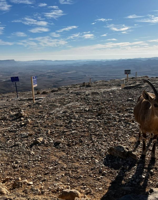 תמונה של כיף במכתש: כל העצירות הכי שוות בהר הנגב - למטייל בישראל (טיולי)