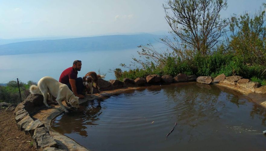 עין שוקו היפהפה | צילום: ירדן זלאית