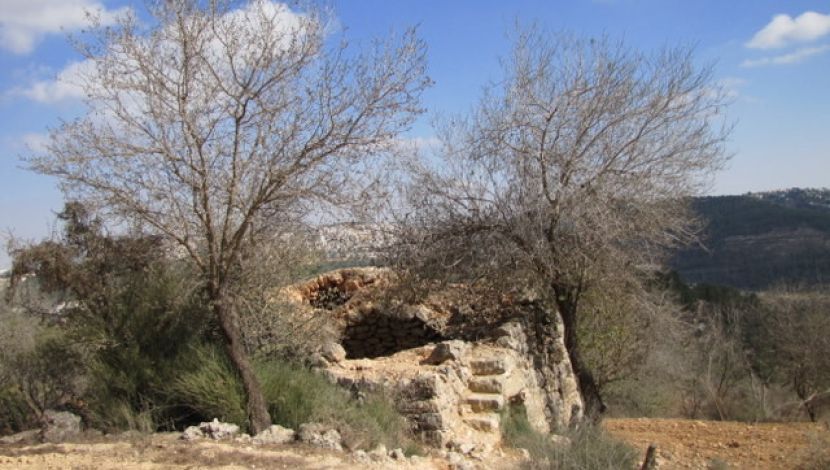 שומרה בהר חרת - הר חרת, מוצא ומאגר בית זית: שקדיות ומושבה נשכחת (1)