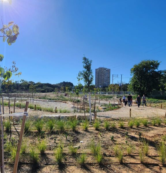 תמונה של בריכת החורף החדשה ופארק הטבע של חולון - למטייל בישראל (טיולי)