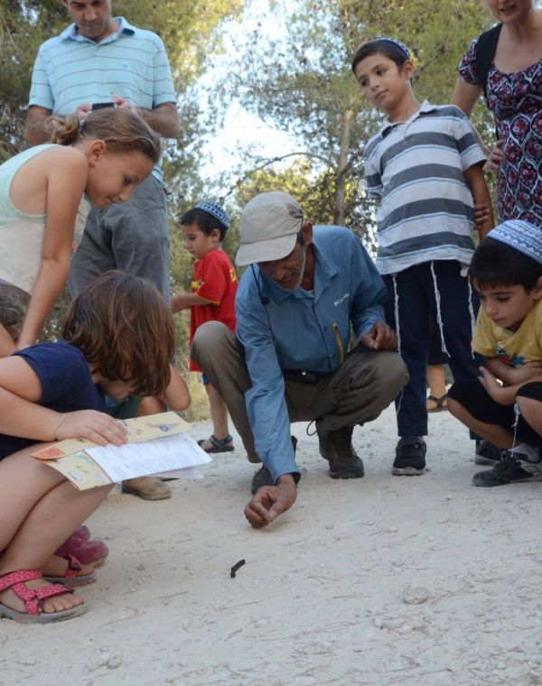 תמונה של סיורי גששות עם איברהים אבו כף - למטייל בישראל (טיולי)
