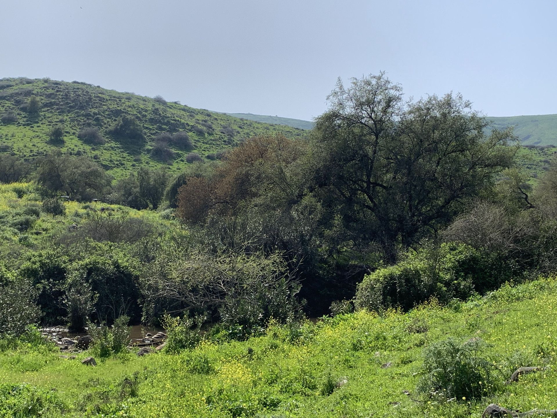 מסלול רטוב לאורך שביל עמק המעיינות