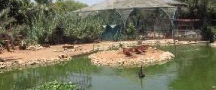 גן החי העירוני (1)