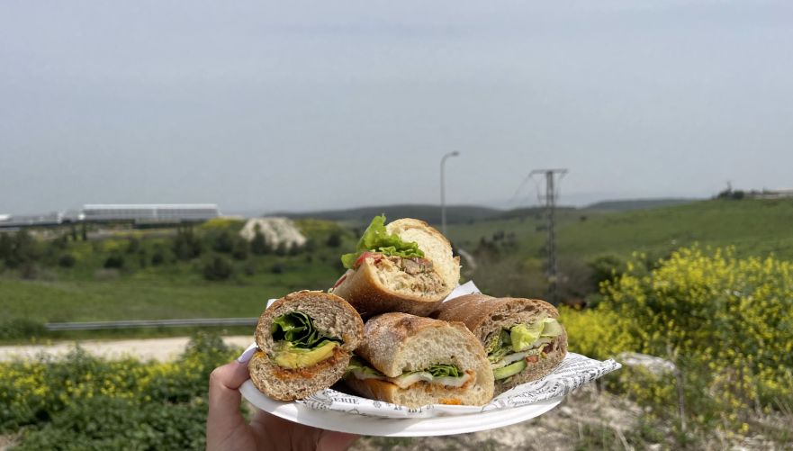 צילום: פז פרחי