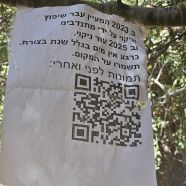 תמונה מתוך למטייל בישראל (טיולי)