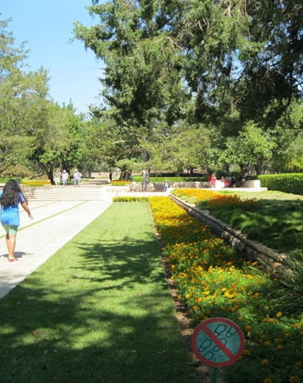 תמונה של רמת הנדיב: בין פריחות צבעוניות - למטייל בישראל (טיולי)
