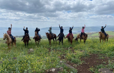 חוות סוסים ורד הגליל (2)