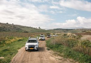 ליהנות מהמזגן – ומהטבע: 5 מסלולים לטיולי שטח בקיץ