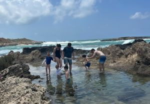 פותחים שנת טיולים: 7 פעילויות לכל המשפחה בספטמבר וראש השנה