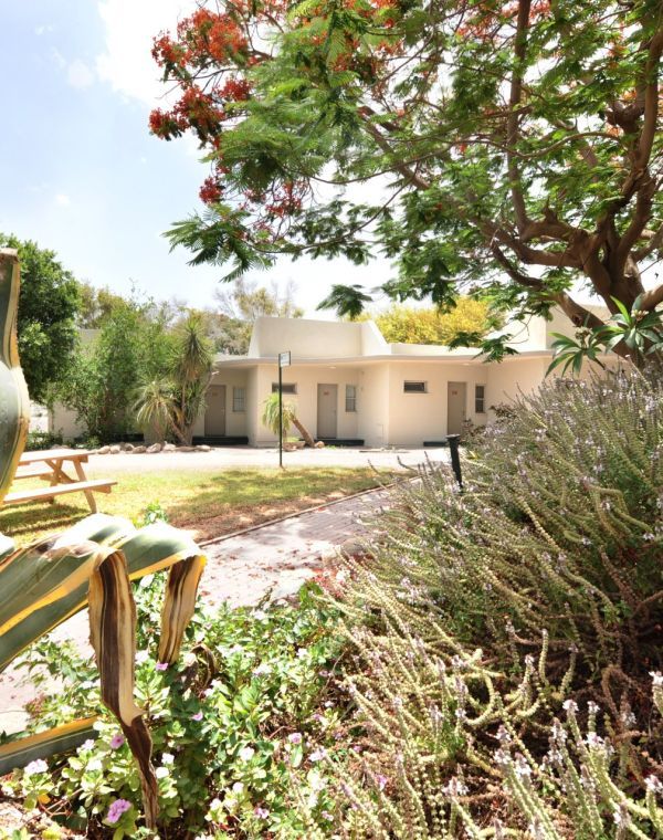 תמונה של כפר הנופש אלמוג: נופש משפחתי באווירה כפרית - למטייל בישראל (טיולי)
