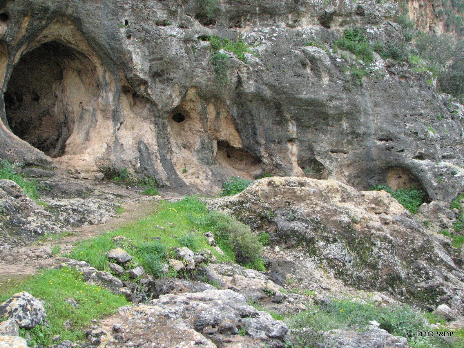 טיול בנחל מערות | צילום: יוחאי כורם