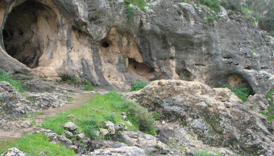 טיול בנחל מערות | צילום: יוחאי כורם