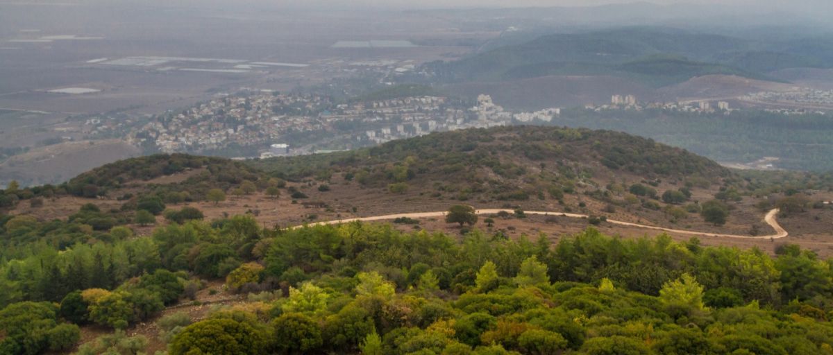 תמונה של מסלולי טיול לחורף - למטייל בישראל (טיולי)