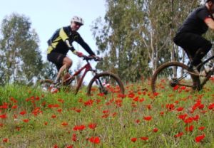 באופן: טיולי אופניים