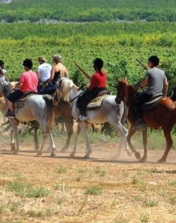 תמונה של חוות הרועים: טיולי סוסים - למטייל בישראל (טיולי)