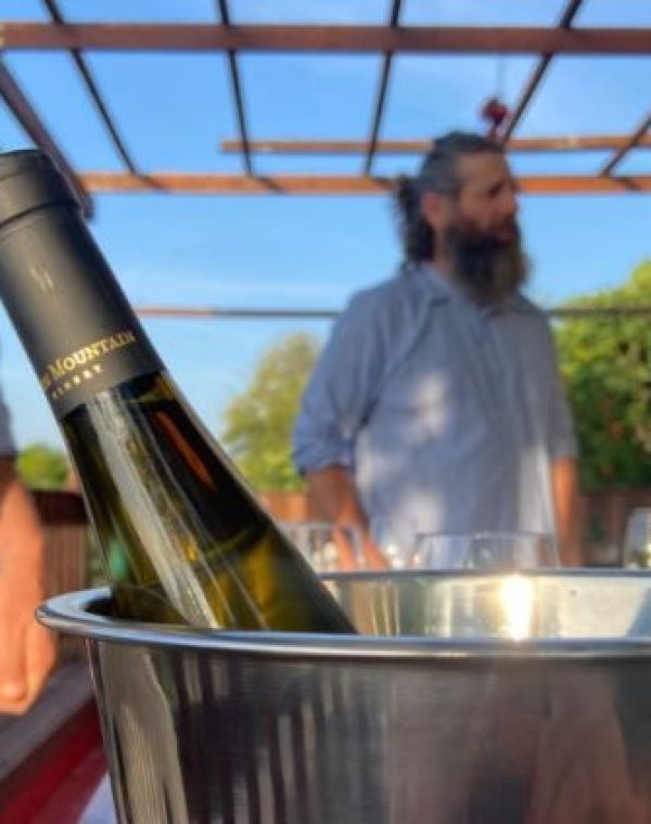 תמונה של הזקן והיין: סיורים וסדנאות יין - למטייל בישראל (טיולי)