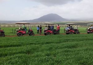 חוויית שטח בצפון: בשבילי התבור