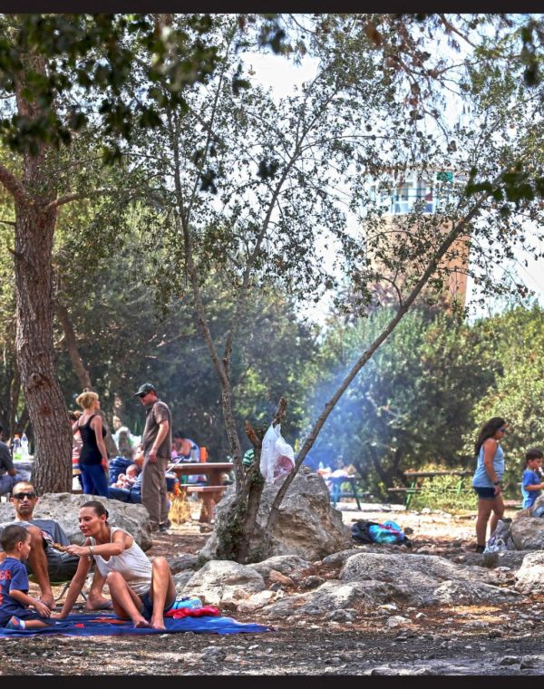 תמונה של יער בן שמן - למטייל בישראל (טיולי)