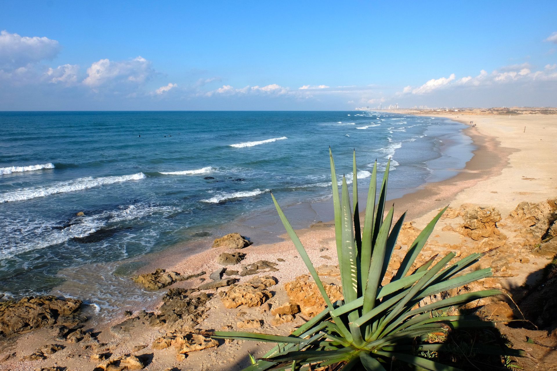 חוף פלמחים | צילום: Depositphotos_leospek