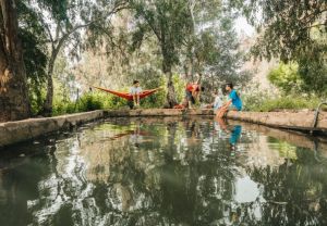 למביני עניין: 7 מעיינות פחות מוכרים
