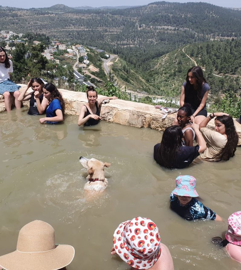 כלבים ונהנים: טיול עם החבר הכי טוב