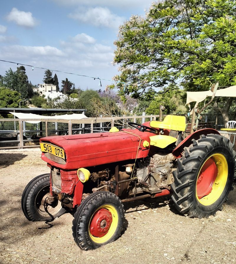 החווה בגבעה: פינת חי משפחתית