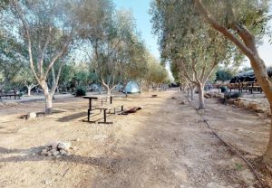 חאן נחל חווארים: אתר קמפינג בדרום