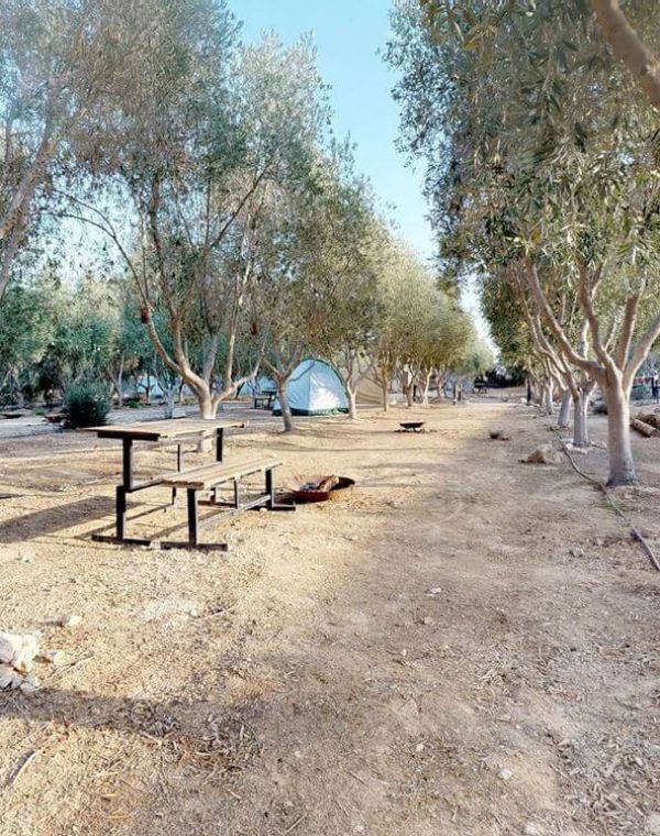 תמונה של חאן נחל חווארים: אתר קמפינג בדרום - למטייל בישראל (טיולי)