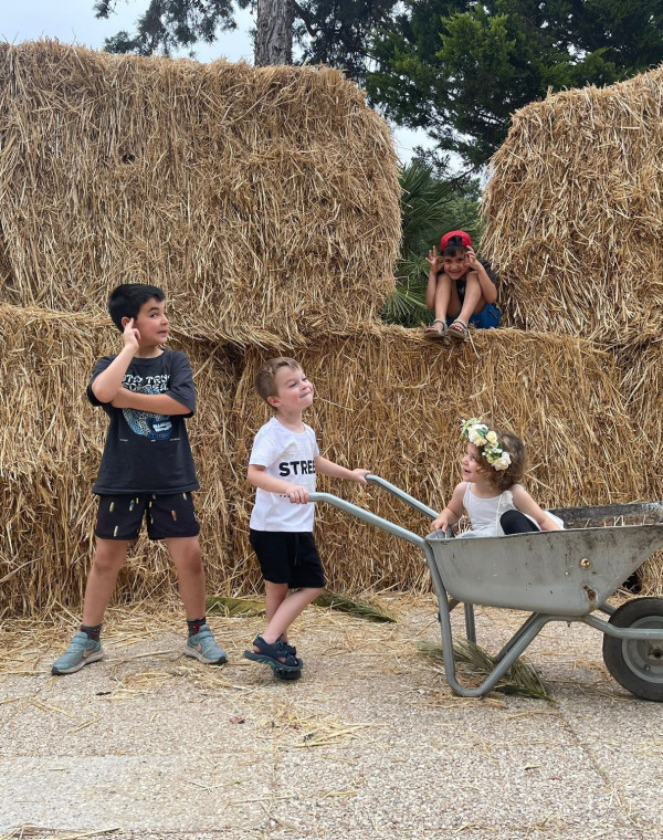 תמונה של שבועות לכל המשפחה: האטרקציות שיסדרו לכם את החג - למטייל בישראל (טיולי)