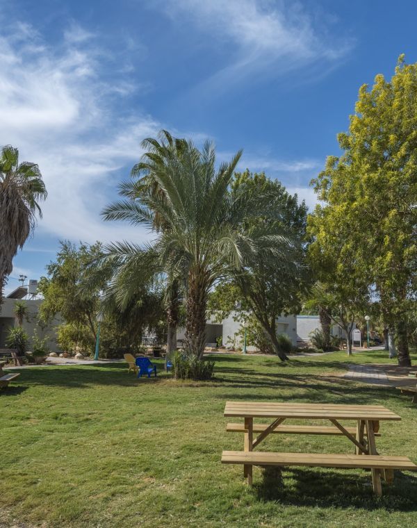 תמונה של מעיין במדבר: אירוח כפרי בדרך לאילת - למטייל בישראל (טיולי)