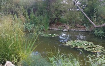 אבו כביר –מסלול עירוני המשלב טבע (2)