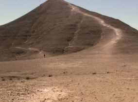 נווה מדבר: 8 טיולים בעקבות בדואים