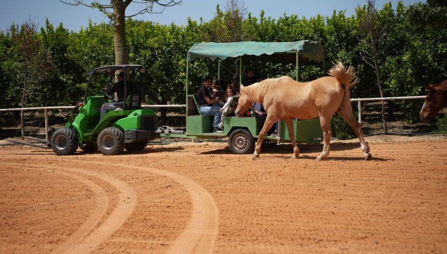 טיול בטרקטור | צילום: החווה של חיים