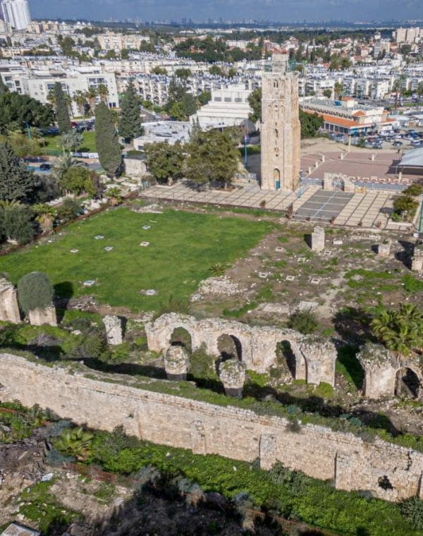 תמונה של צמחה מהחולות: יום טיול בעיר המפתיעה במרכז - למטייל בישראל (טיולי)