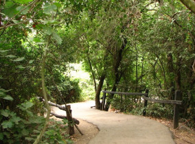 ההנחיות המעודכנות: איזה אתרים עדיין סגורים