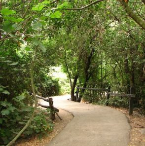 ההנחיות המעודכנות: איזה אתרים עדיין סגורים
