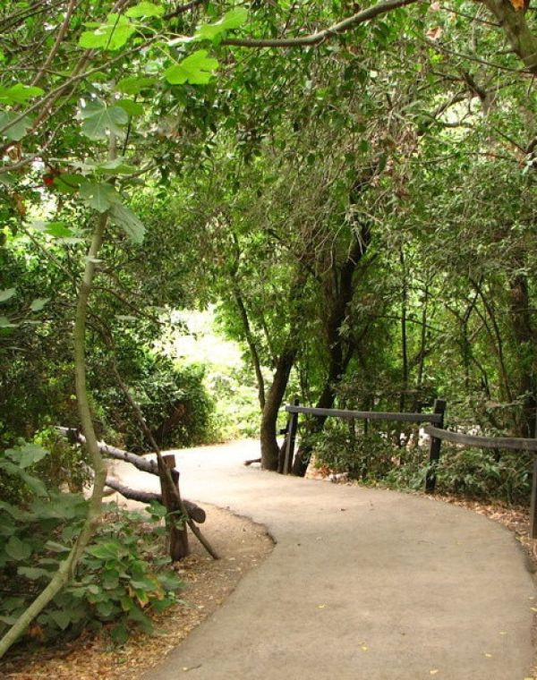 תמונה של ההנחיות המעודכנות: איזה אתרים עדיין סגורים - למטייל בישראל (טיולי)