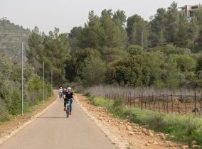 בין הרים ובין סלעים: יום טיול בירושלים עם אופניים