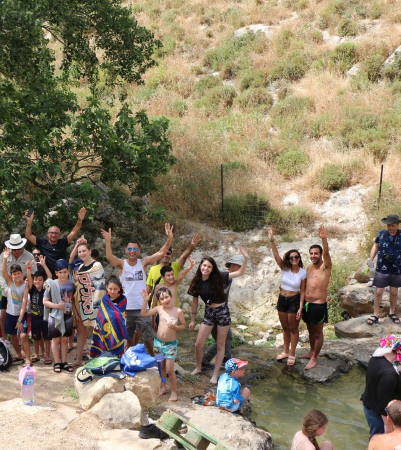 עין עלווה: פינת חמד בגליל העליון