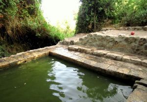 עין טייסים: בין העצים בהרי ירושלים