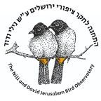 התחנה לחקר ציפורי ירושלים ע