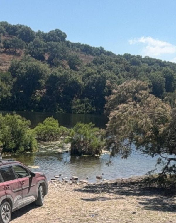 תמונה של מגלים את רמות מנשה: מסע 4X4 בשביל ישראל - למטייל בישראל (טיולי)